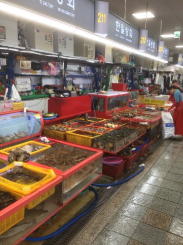 Jagalchi Fish Market, Busan. [Photo by Marc Lanteigne]